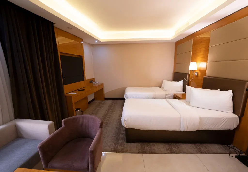 Deluxe Double or Twin Room(10)