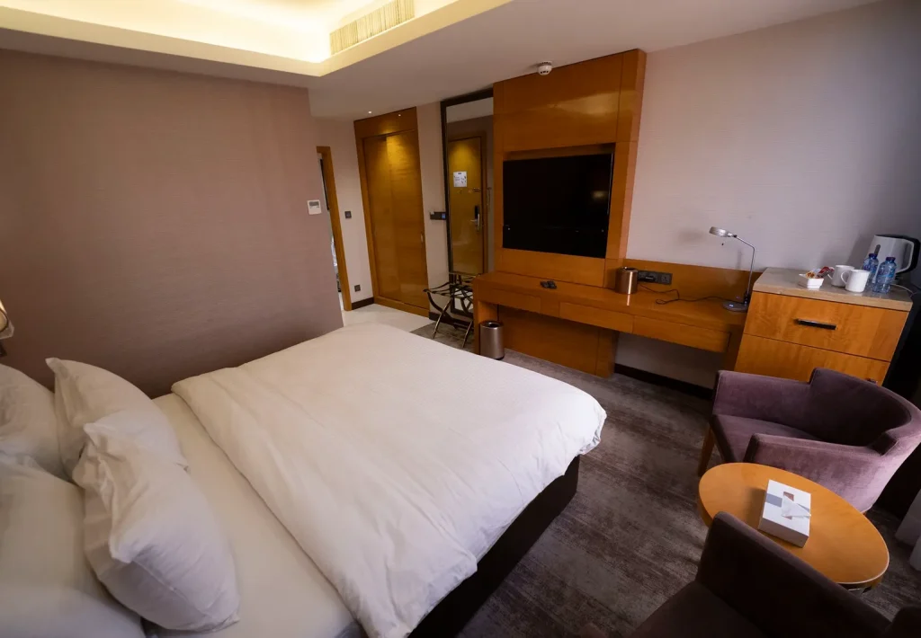 Deluxe Double or Twin Room(11)