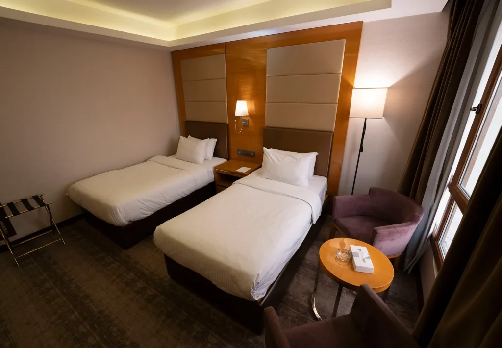 Deluxe Double or Twin Room(17)