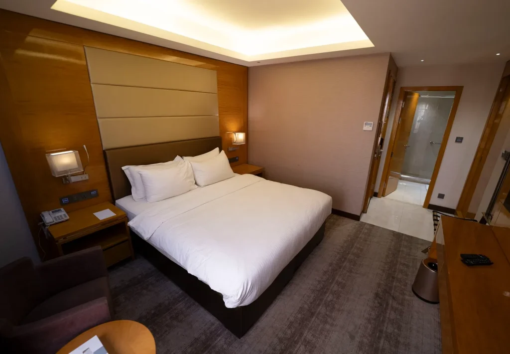 Deluxe Double or Twin Room(5)